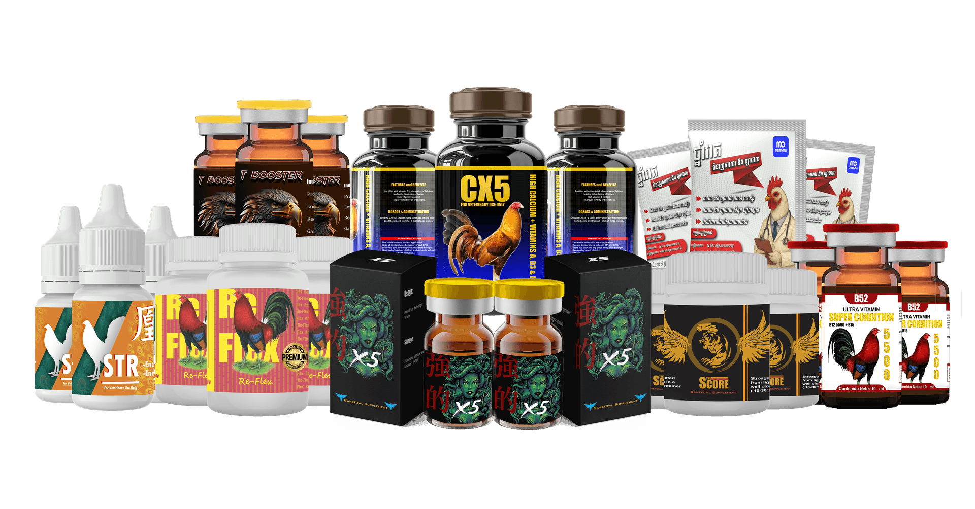 All MC Dragon Products